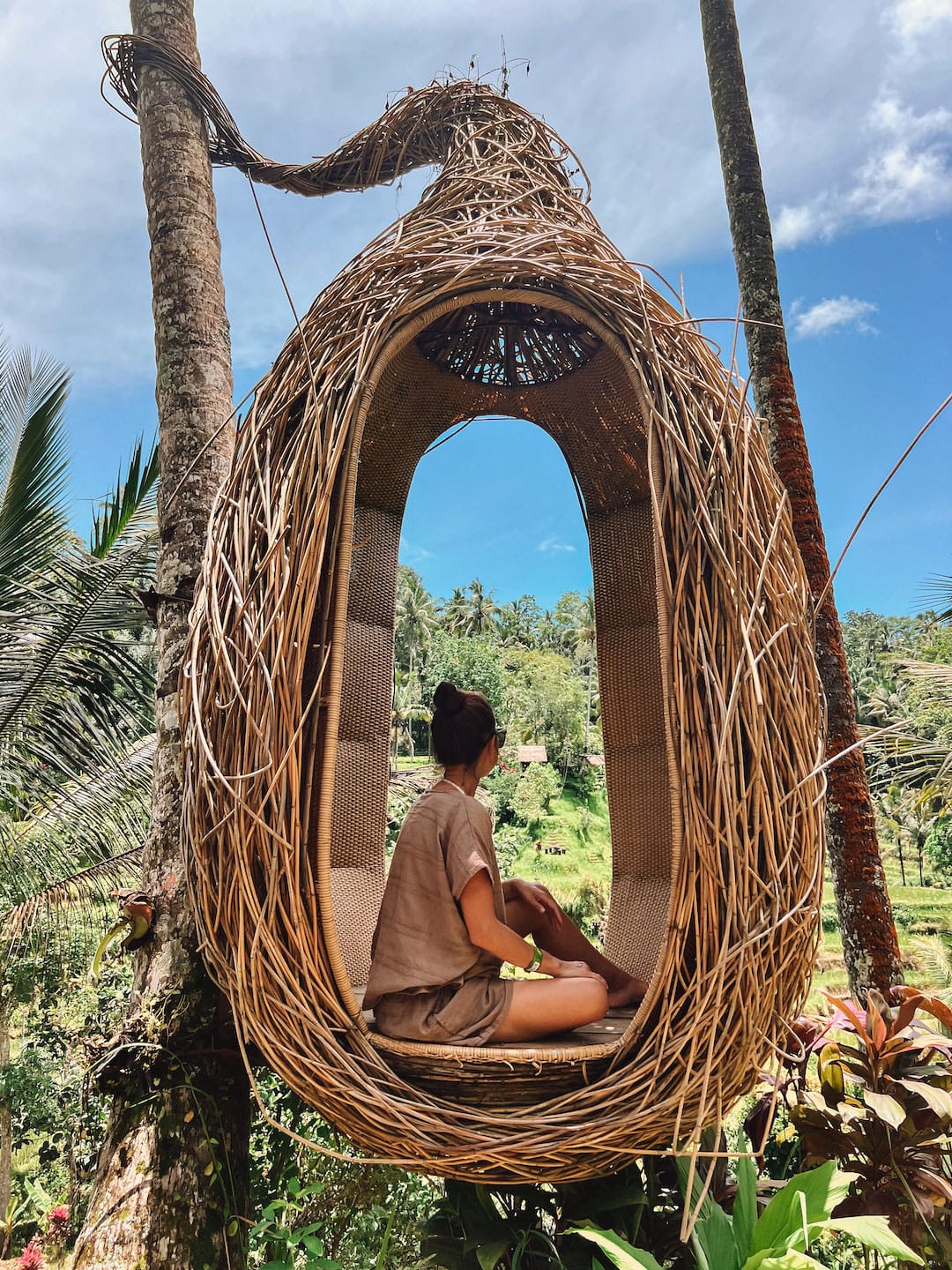 Searching for the Best Rice Terraces in Bali? Tegallalang is a Must