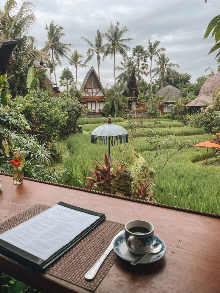Coffee with a view of the rice terraces in Ubud