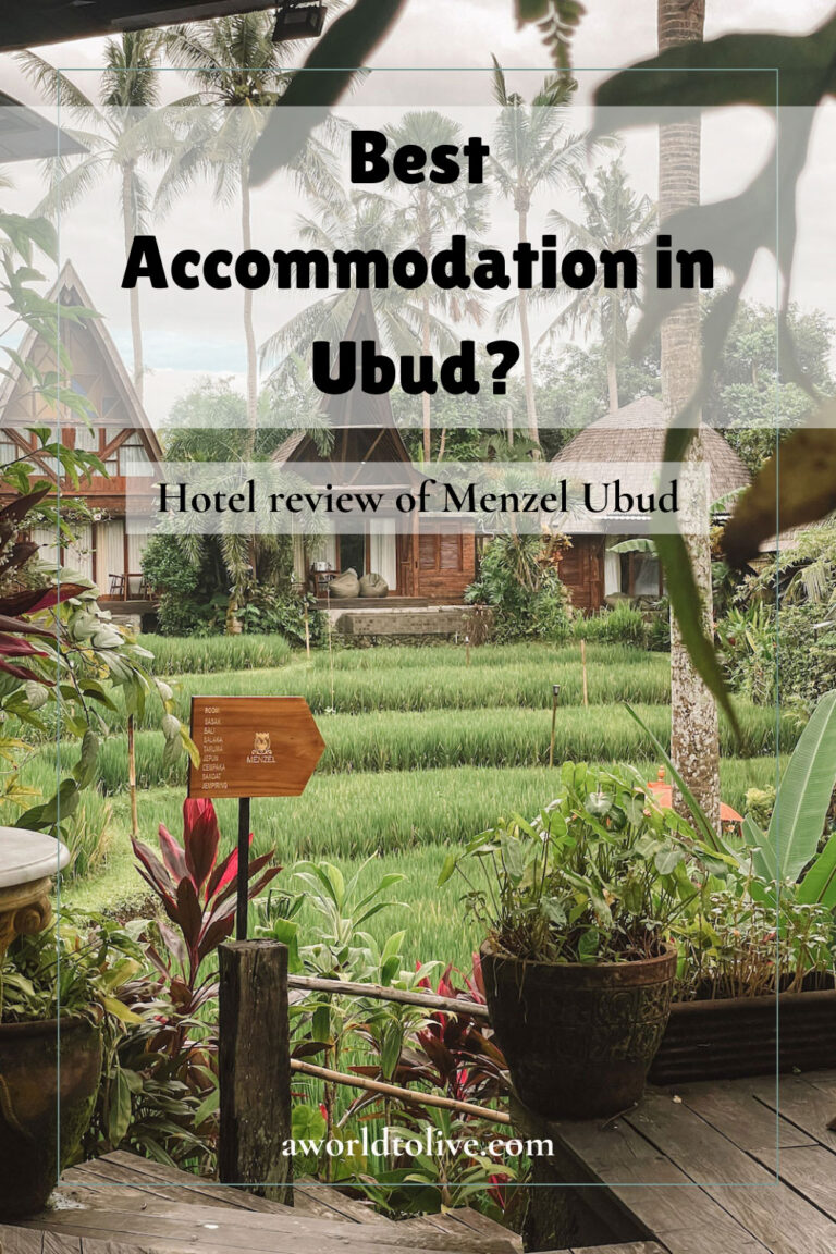 Pin to Pinterest. Best accommodation in Ubud