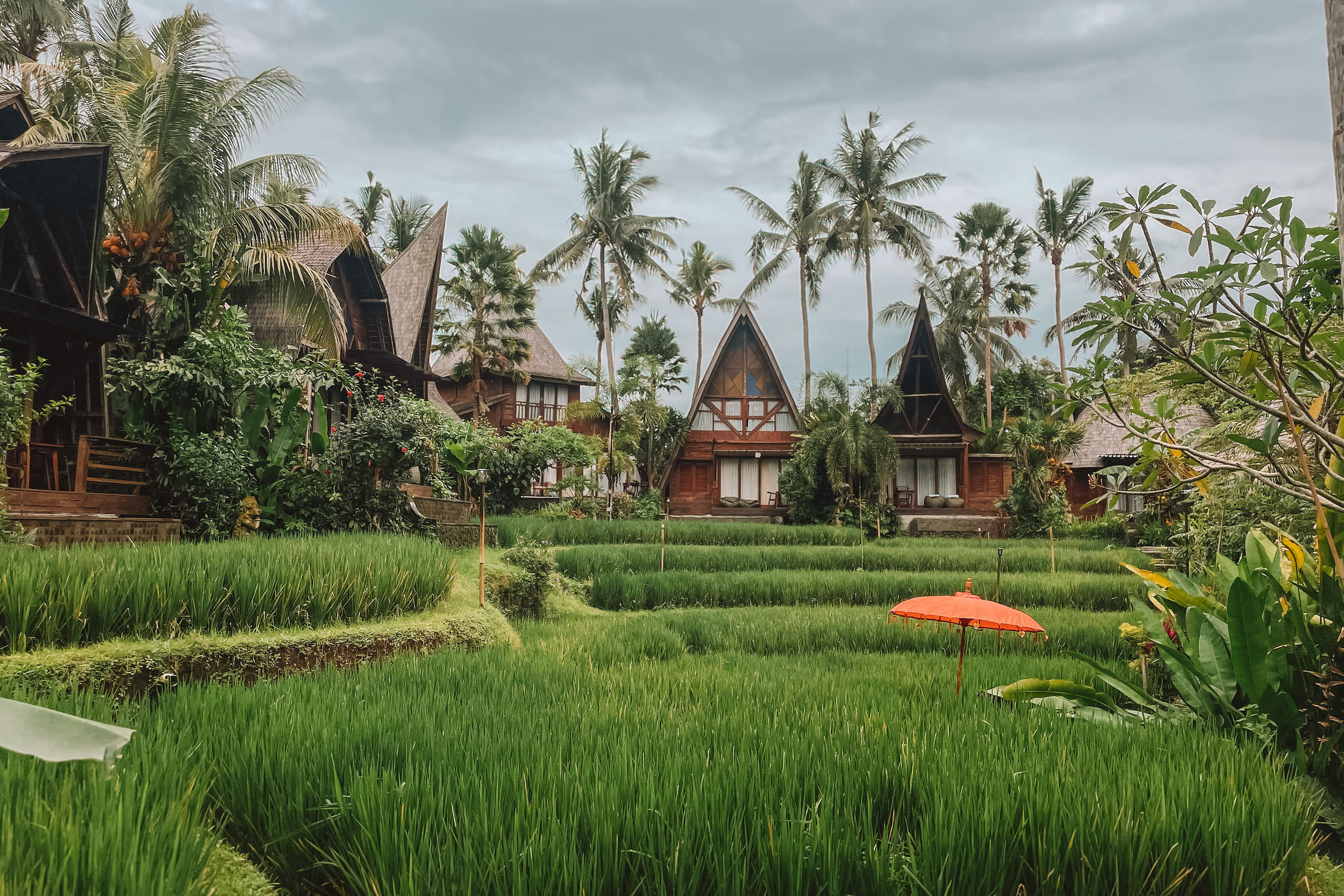 You are currently viewing Discover One of the Most Unique Places to Stay in Ubud: My Review of Menzel Ubud