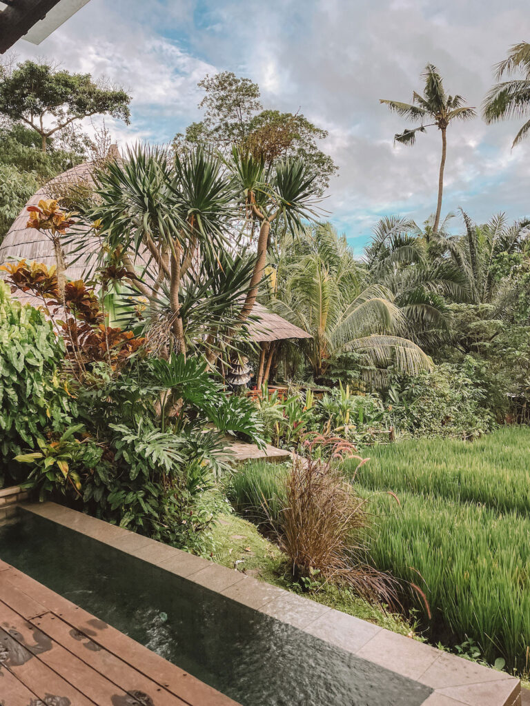 Villa and hotel accommodation in Ubud Bali