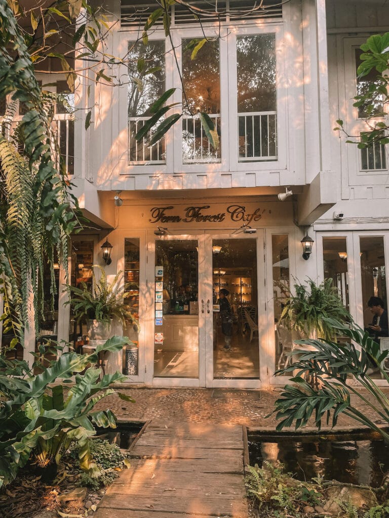 Entrance to a cozy coffee shop surrounded by greenery in Chiang Ma