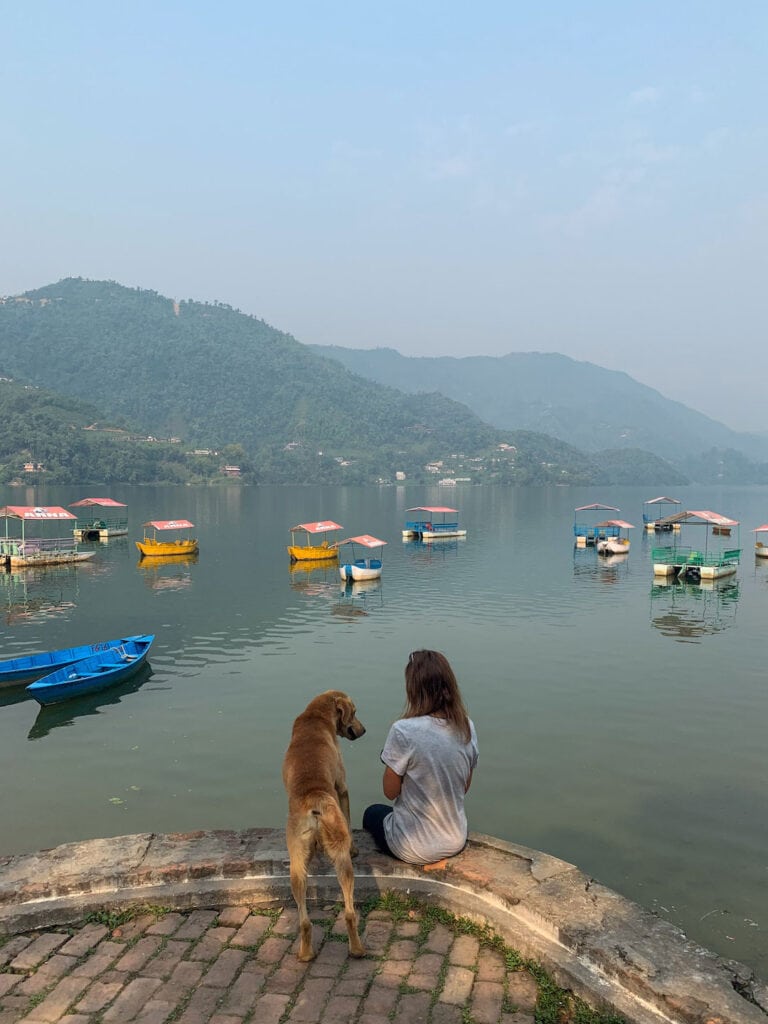 sitting on the edge of Phewa Lake with a local dog looking for food in Pokhara