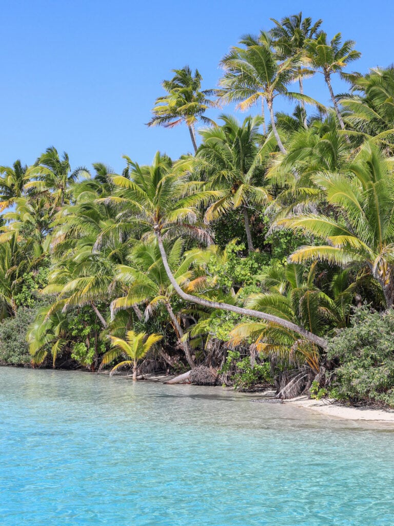Beautiful tropical beach with lush palm trees and clear blue water at one foot islands during Aitutaki day tour
