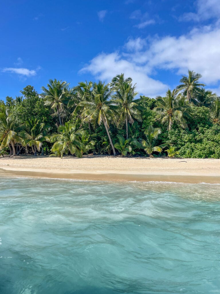 Beautiful tropical beach with palm trees and clear blue water. Day Tour of Aitutaki