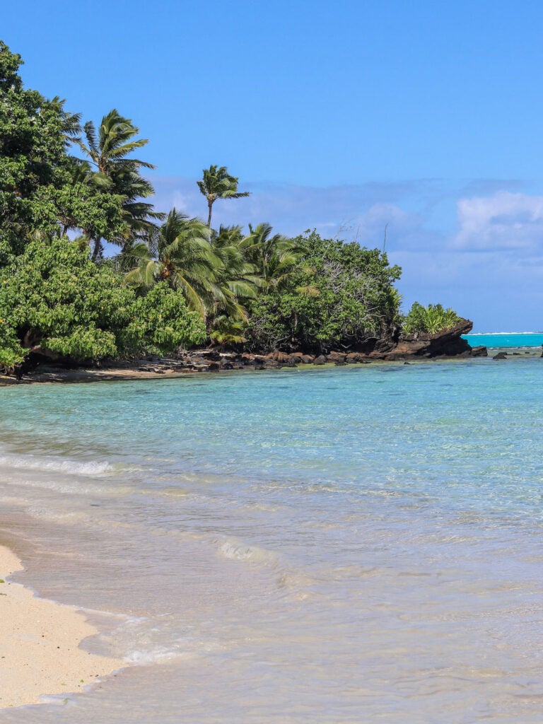 Beautiful tropical beach with clear water and lush palm trees under a blue sky visited during Aitutaki day tour