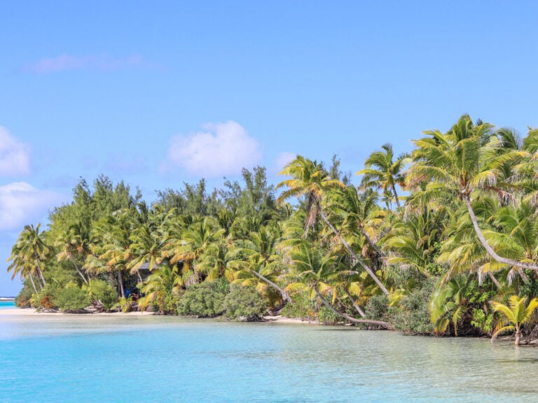 Tropical beach on One Foot Island in Aitutaki, with lush palm trees and clear blue water.