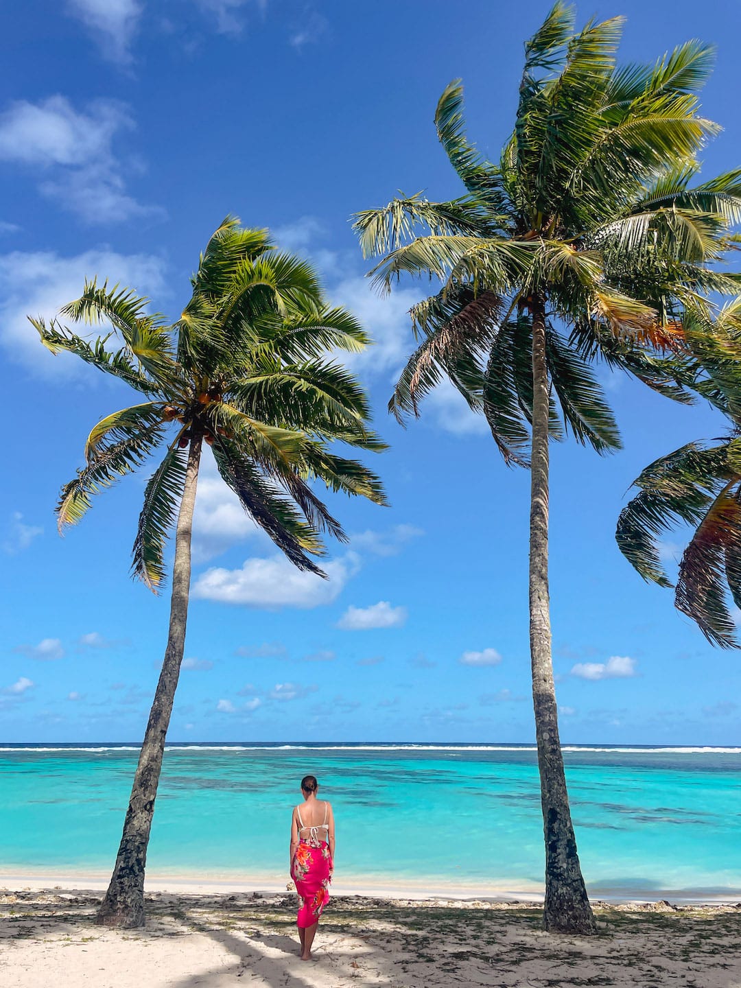 Papa’Aroa Beach. Scenic tropical beach with palm trees and turquoise water under blue sky.