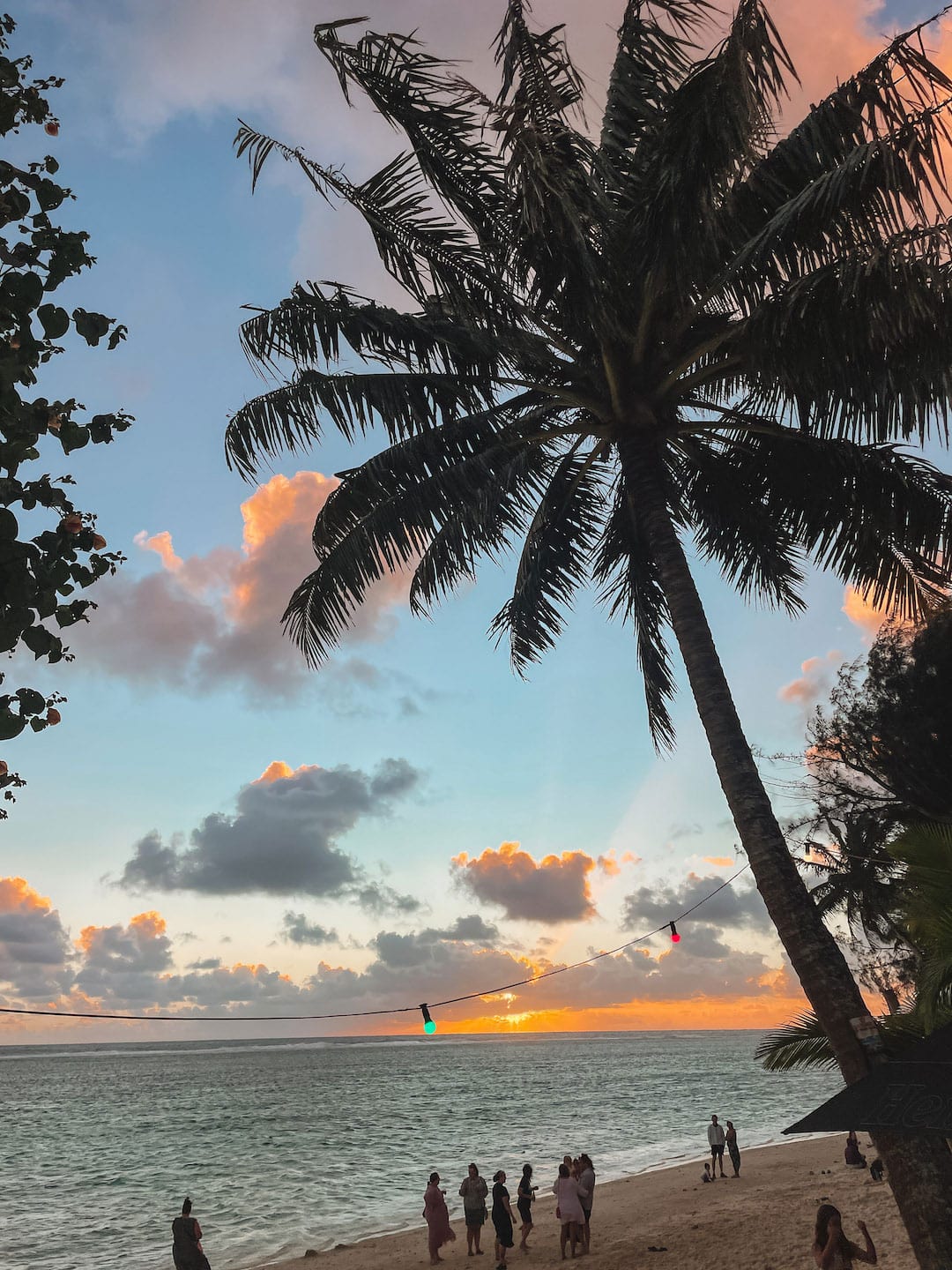 Scenic tropical beach at sunset with palm tree silhouette and colorful sky. Taken from Shipwreck Hut Beach