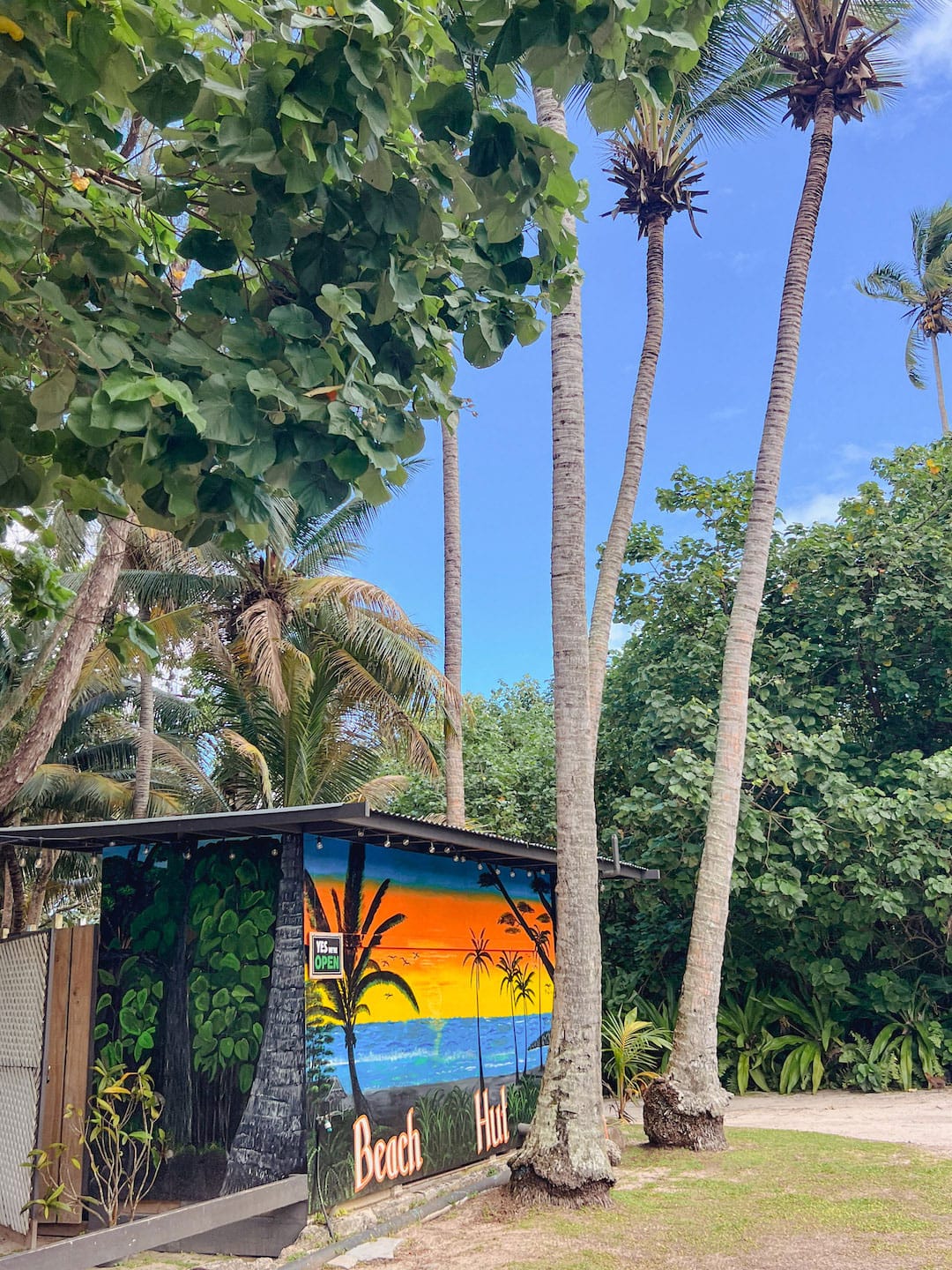 Colorful beach hut with palm trees and lush greenery under a blue sky. Things to do in Rarotonga