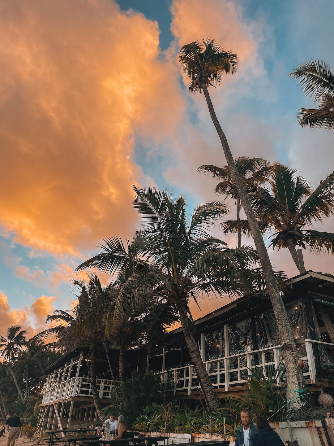 Sunset over Charlie's Raro in the Cook Islands. Palm trees line the beach