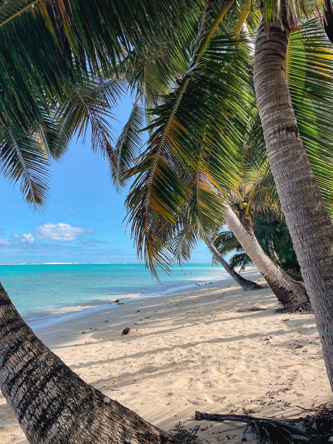 Beautiful tropical beach with palm trees, white sand, and turquoise water in Rarotonga, Cook Islands