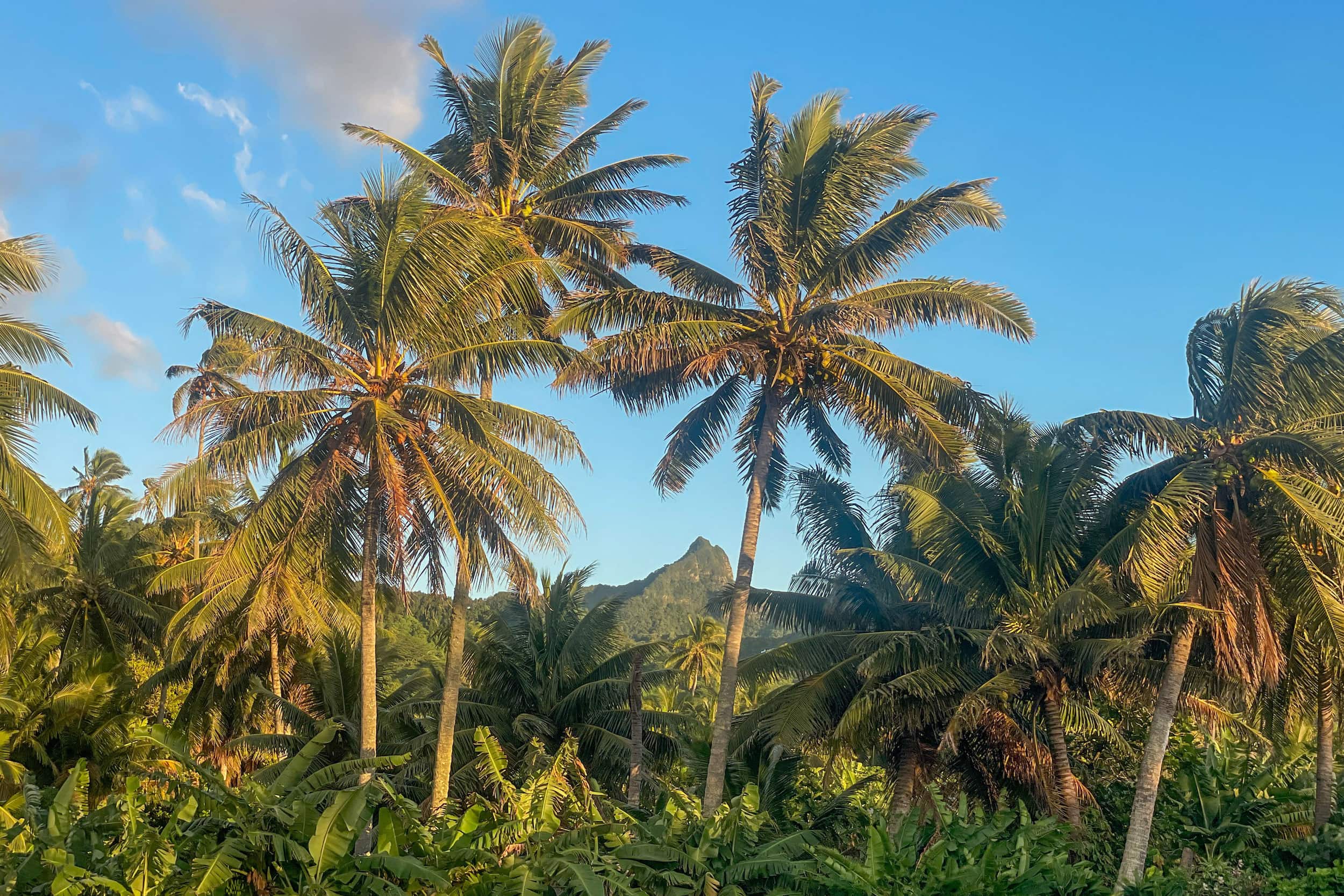 23 Essential Rarotonga Travel Tips for Your First Visit